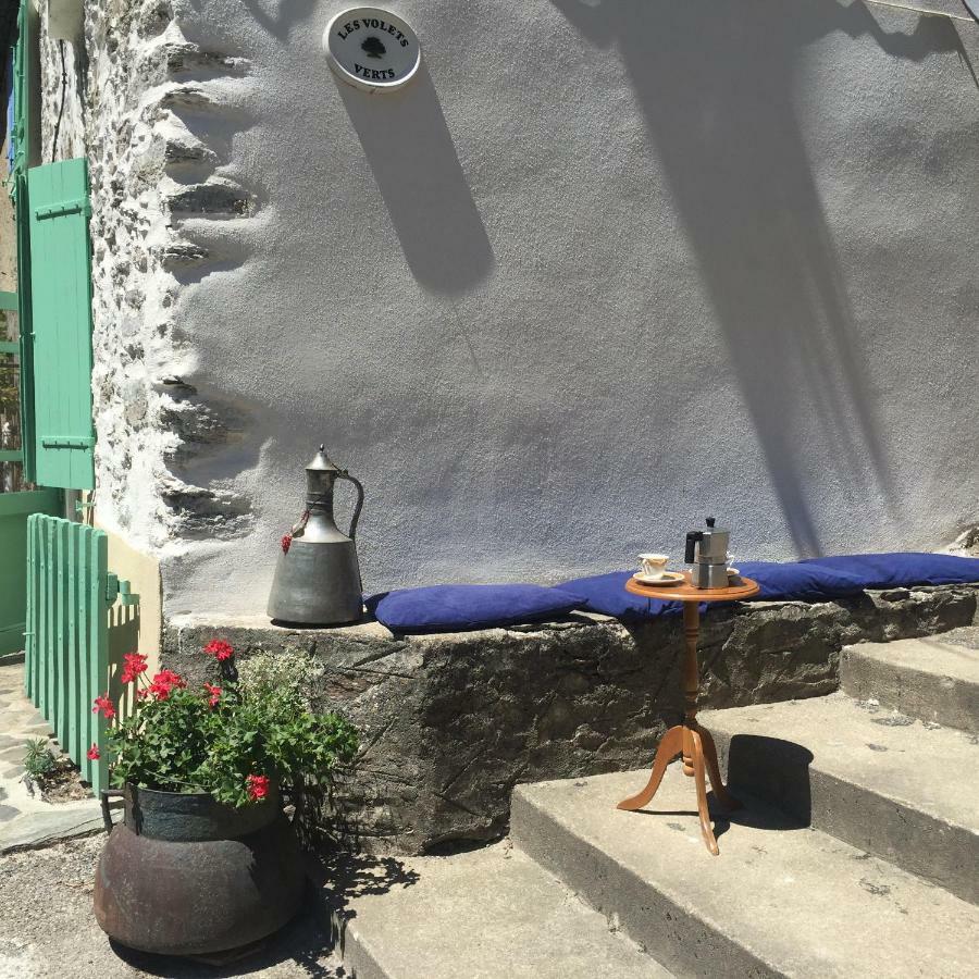 Les Volets Verts Miraval-Cabardes Dış mekan fotoğraf